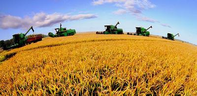 今秋大農機馬力全開 機械收獲秸稈還田深松整地 www.hnxd.net.cn