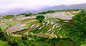 ɽ^(q)r(nng)Cl(f)չ}h www.hnxd.net.cn